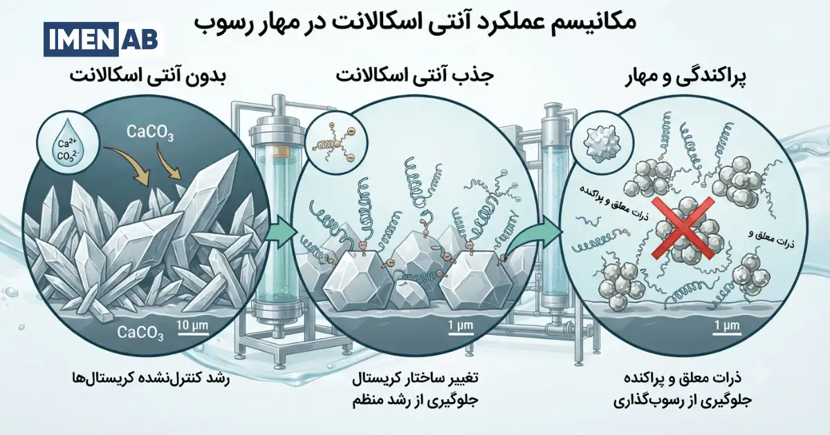 آنتی اسکالانت چگونه از تشکیل رسوب جلوگیری میکند؟