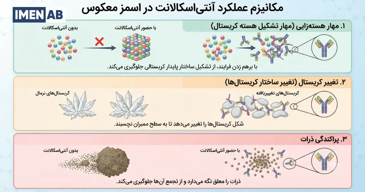 آنتی اسکالانت اسمز معکوس چگونه از تشکیل رسوب جلوگیری میکند؟